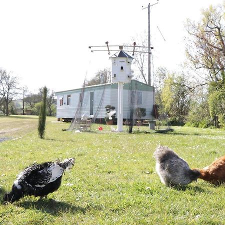 The Nest - Family Friendly Caravan Nr Glastonbury & Street Самъртън Екстериор снимка