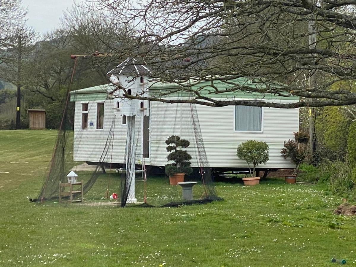 The Nest - Family Friendly Caravan Nr Glastonbury & Street Самъртън Екстериор снимка